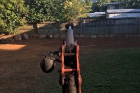 FNQ Earthqworx Site Cleanup